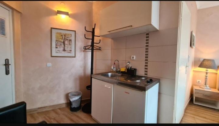 Visoki Stevan Apartments Belgrade Luaran gambar